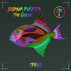 Joshua Puerta - The Goose (Original Mix)