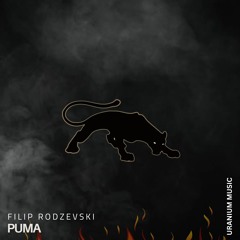 Filip Rodzevski - Puma