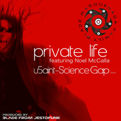 Private Life (feat. Noel McCalla) [u5aint Club Mix]