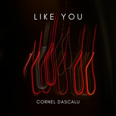 Cornel Dascalu - Like You
