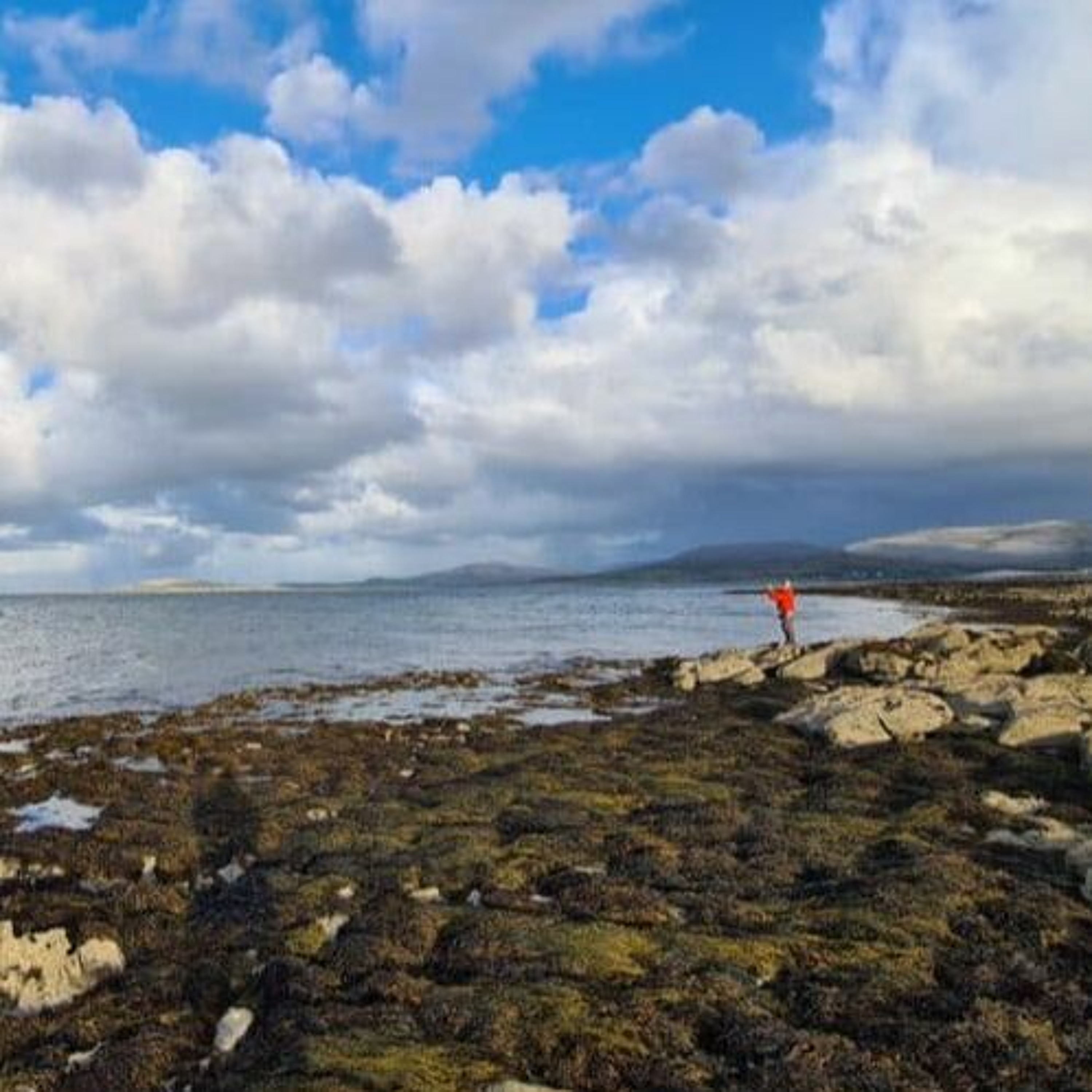 Peche en irlande