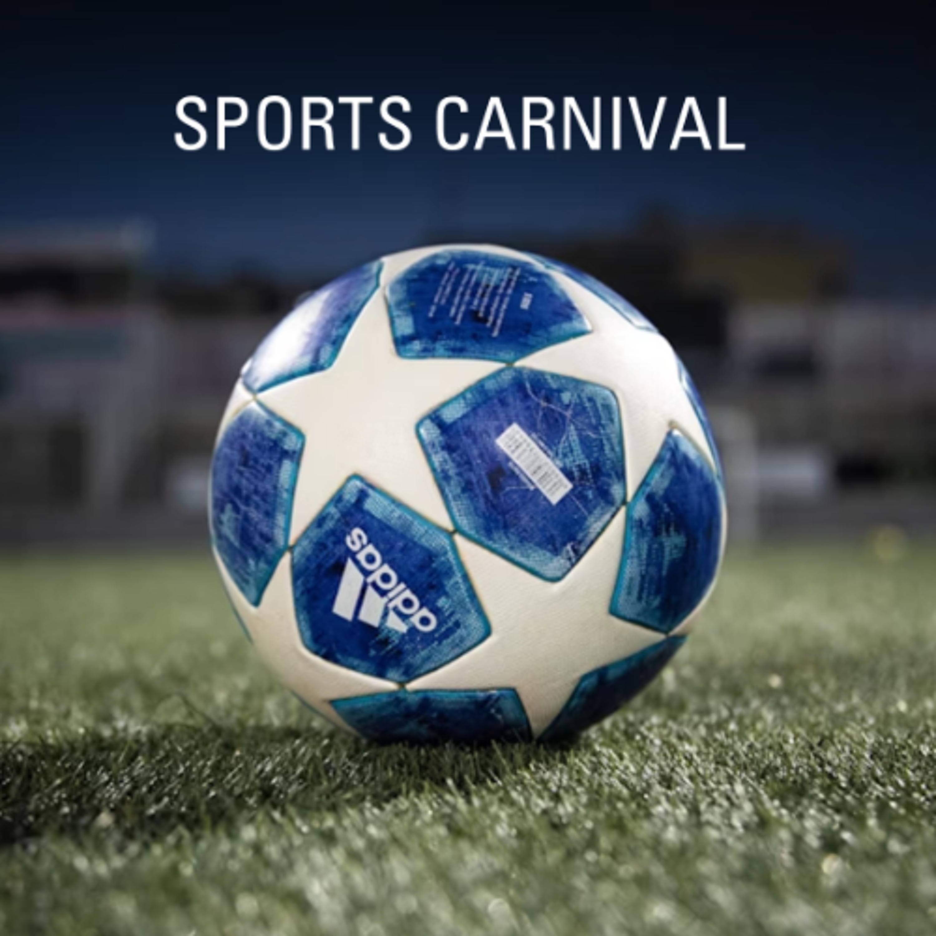 Sports Carnival - Amy, Sara, Lydia and Nicholas - St Brigid's School episode artwork