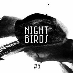 Nightbirds 6