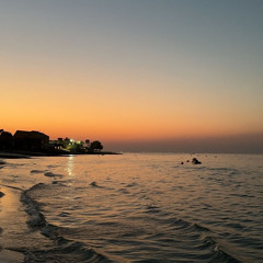 التاج - عيضة المنهالي