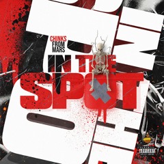Chinks From Mars - In The Spot