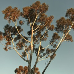 Earthpulse