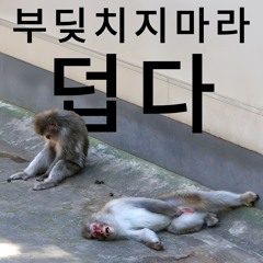 여름 2024 (랜덤 음악 뭉치)