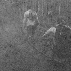 Forests And Swamps, 1991-1993, Ales Gryb, town of Luninets