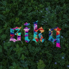sikq & troyCT - fehlfunktion