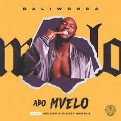 Daliwonga Ft. Mellow & Sleazy And M.J - Abo Mvelo - May 2022