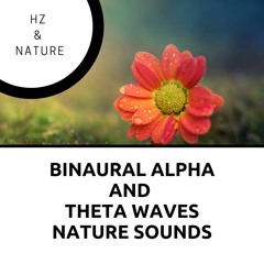 6Hz Theta Waves with Calm Waves, Forest Sounds