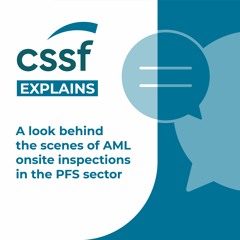 A look behind the scenes of AML on-site inspections in the PFS sector