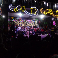 Voces al Aire...Libre "Paisajes Sonoros de Unión Juárez"