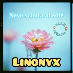 Neve sciolta al sole.mp3
