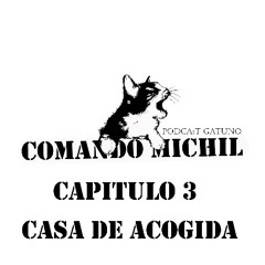Ser casa de acogida - Capítulo 3