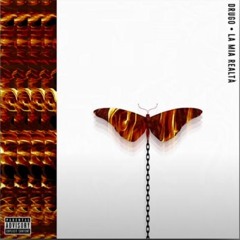 DRUGO - LA MIA REALTÀ
