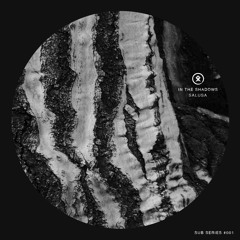 Salusa - In The Shadows [Bandcamp Subscriber Exclusive]