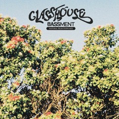 🌱🌺🍃Glasshouse // Natural Selections 🍃🌺🌱(BASSMENT MIX)