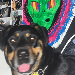 mind of a stoner Ft. Tekkaz (Prod. jang0)