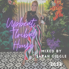 Upbeat tribal organic house 23