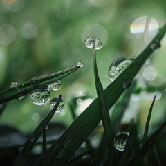 Vibrant Green