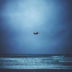 Tombant Comme Des Diamants Du Ciel(Falling Like Diamonds In The Sky)