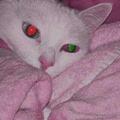 Close Eyes