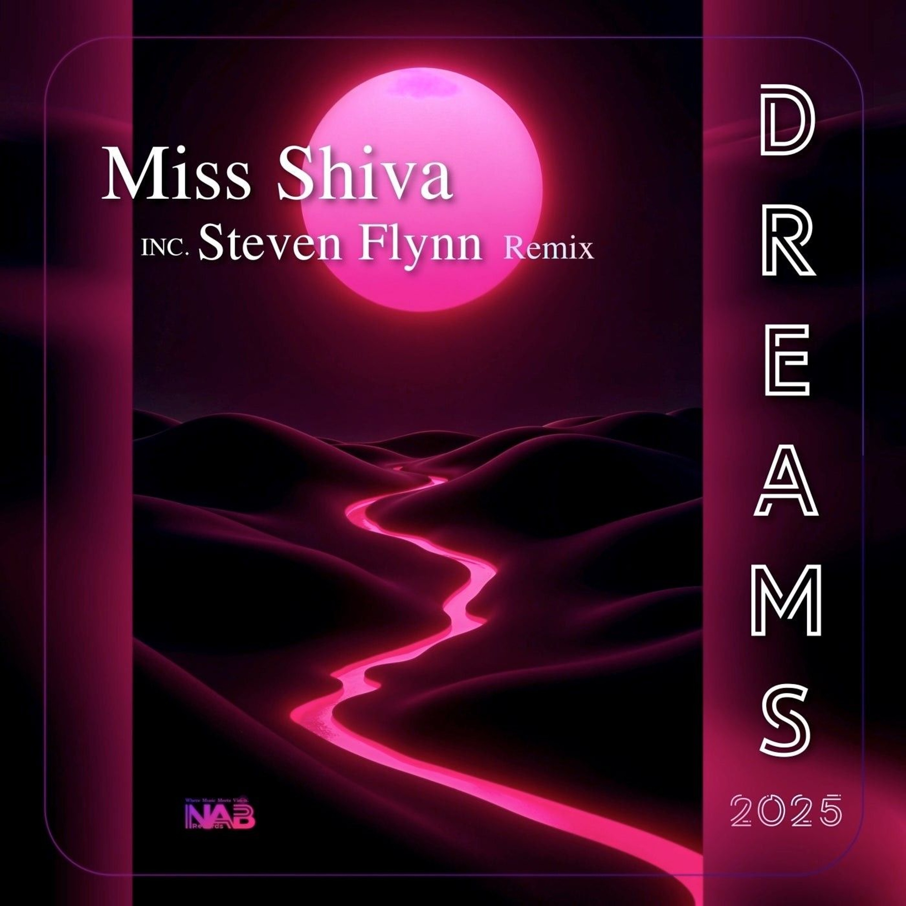 Miss Shiva - Dreams (Steven Flynn Remix) [NAB Records]
