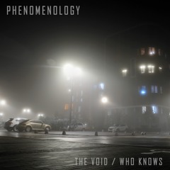 Phenomenology - The Void