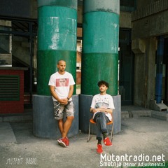 Smetnja [Minor Adjustments] [23.06.2020]