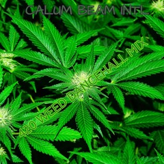 420 WEED DANCEHALL MIX (JULY 2021)