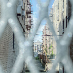 Ficciones V - Antron