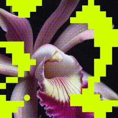 Premiere: Milio - Matter of Time [Flores]