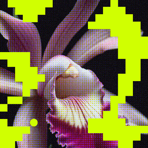 Premiere: Milio - Matter of Time [Flores]