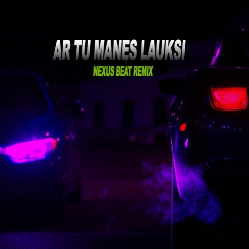 AR TU MANĘS LAUKSI (Nexus Beat remix)