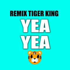 "Yea Yea" Remix Tiger King | Hip Hop TikTok Rap Party Music