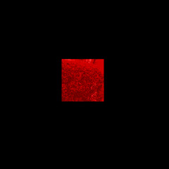 pause_theme