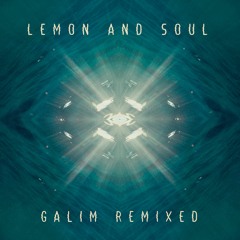 Lemon And Soul - Seagulls (Jai Cuzco Remix)