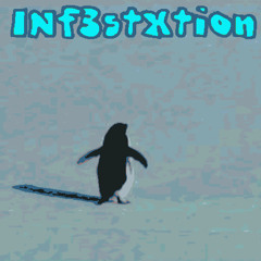 Washed Out (Penguinband Cover)