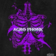 kordmaydes agro phonk.mp3