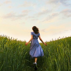 The Thousand Rumi Songs
