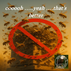 oooooh …..yeah ….that’s better - No more angry bees fighting in the hive