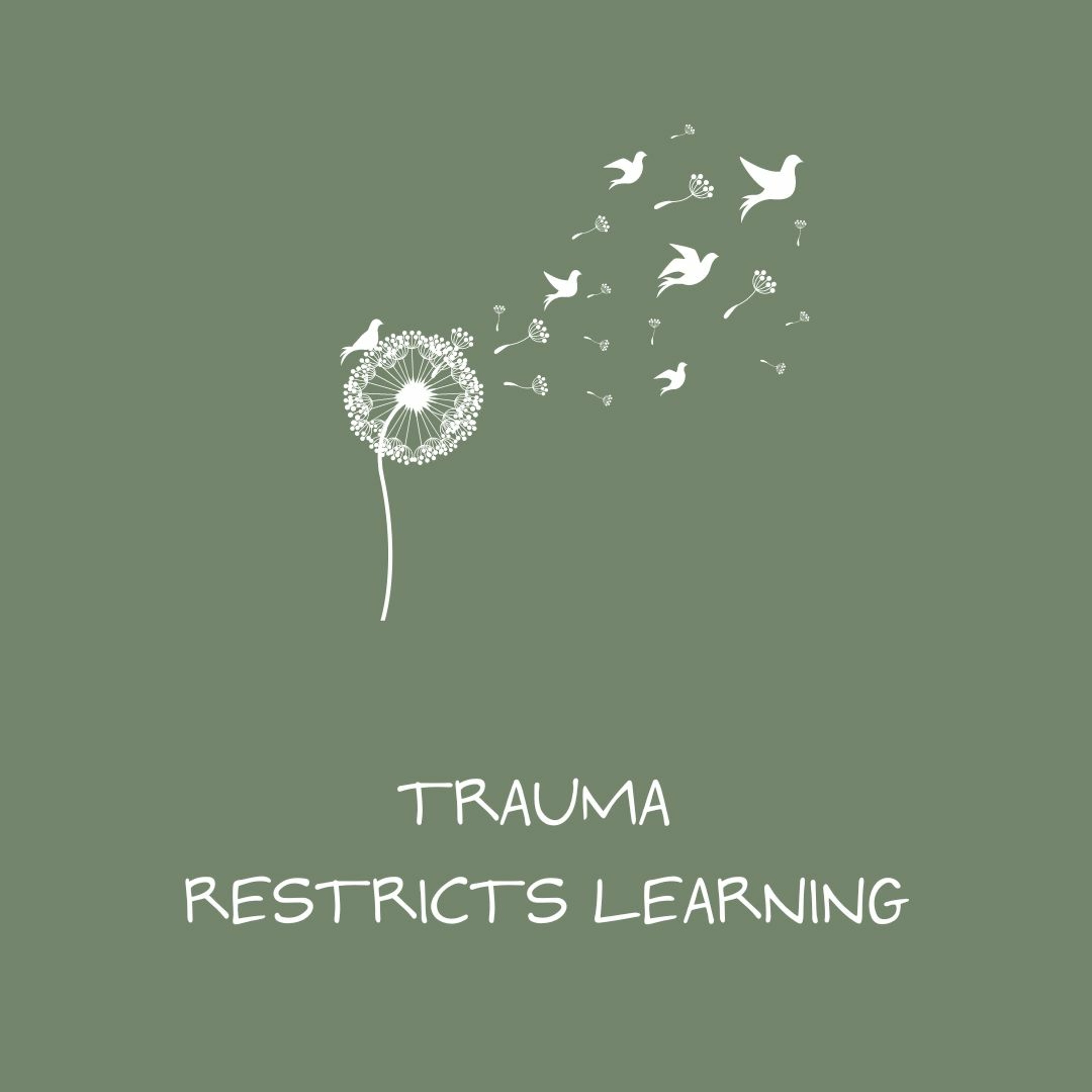 The Aware Parenting and Natural Learning Podcast