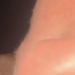 ¡peterPan ! Dlon3 & Jay Thugga