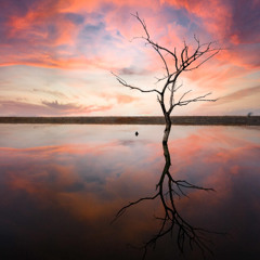 reflection ii