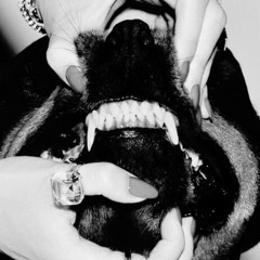 CANINE