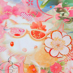 ₊˚๑ Kiwi ꒦꒷˚||꒦