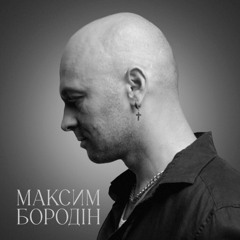 Максим Бородін — Злочин