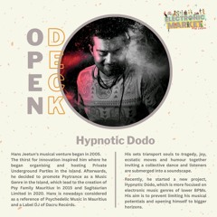 Hypnotic Dodo @ Electronic Market (West Edition) - 04.11.23