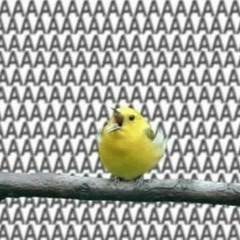 aaaaaaaaaaaaaaaaaaaaaa (rough as fuck)